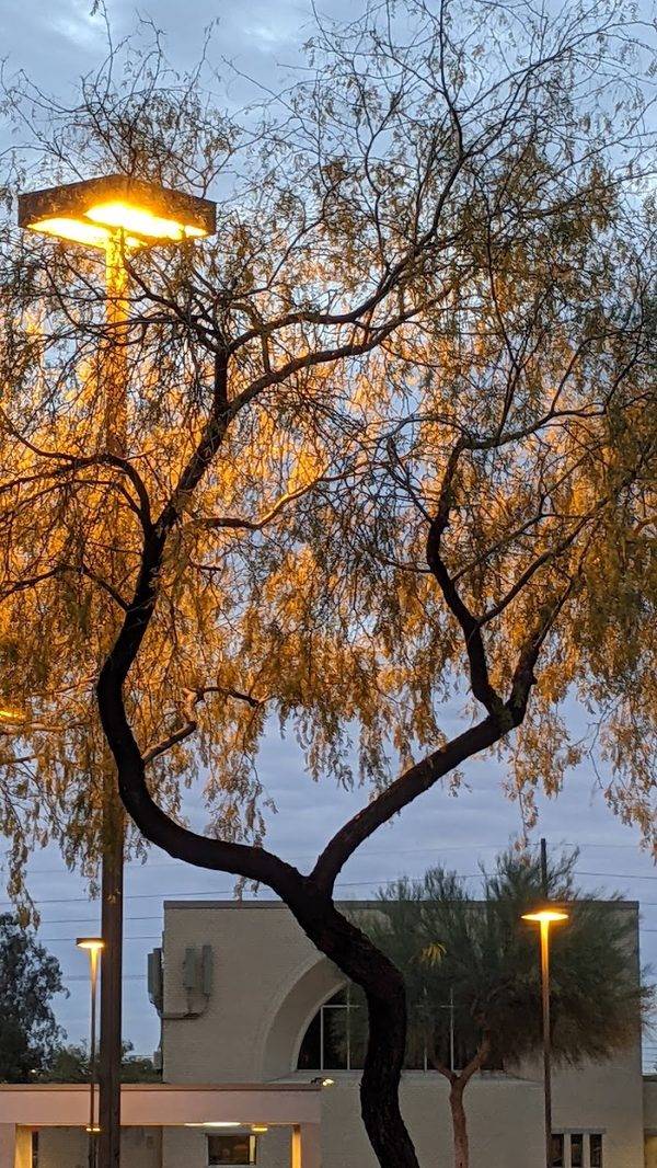 Desert Springs Shopping Center